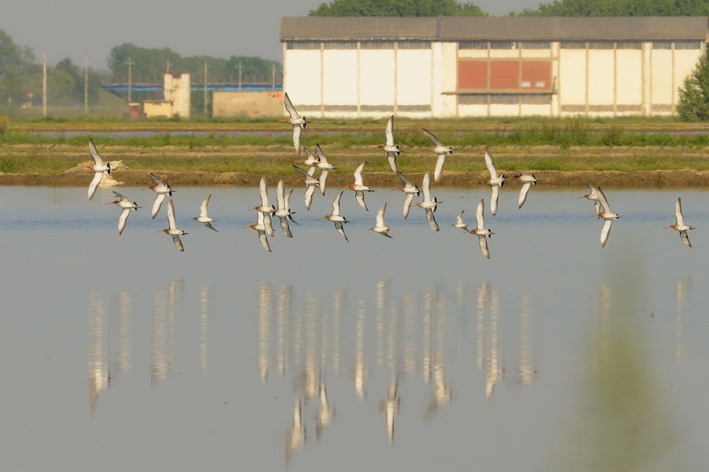 Ad ali spiegate, il sogno di Icaro.